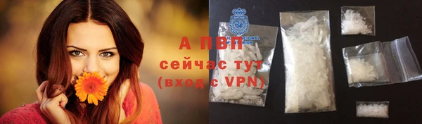 mdpv Магас