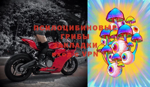 mdpv Магас