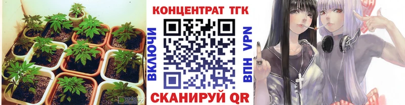 Купить закладки  Ясногорск  Дистиллят ТГК концентрат 